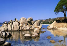 爱游戏下载-拜仁慕尼黑零封沃尔夫斯堡，取得德甲联赛冠军，拜仁1-5沃尔夫斯堡