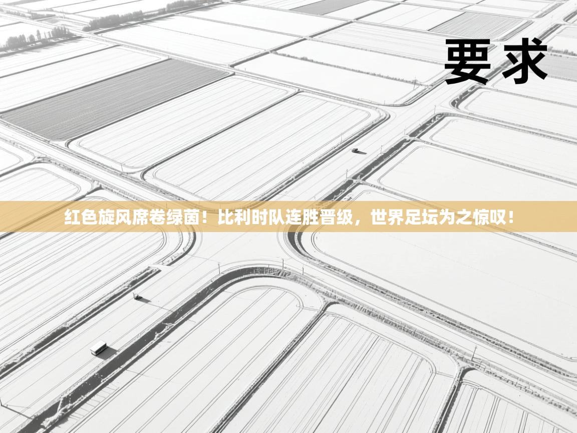 红色旋风席卷绿茵！比利时队连胜晋级，世界足坛为之惊叹！  第2张