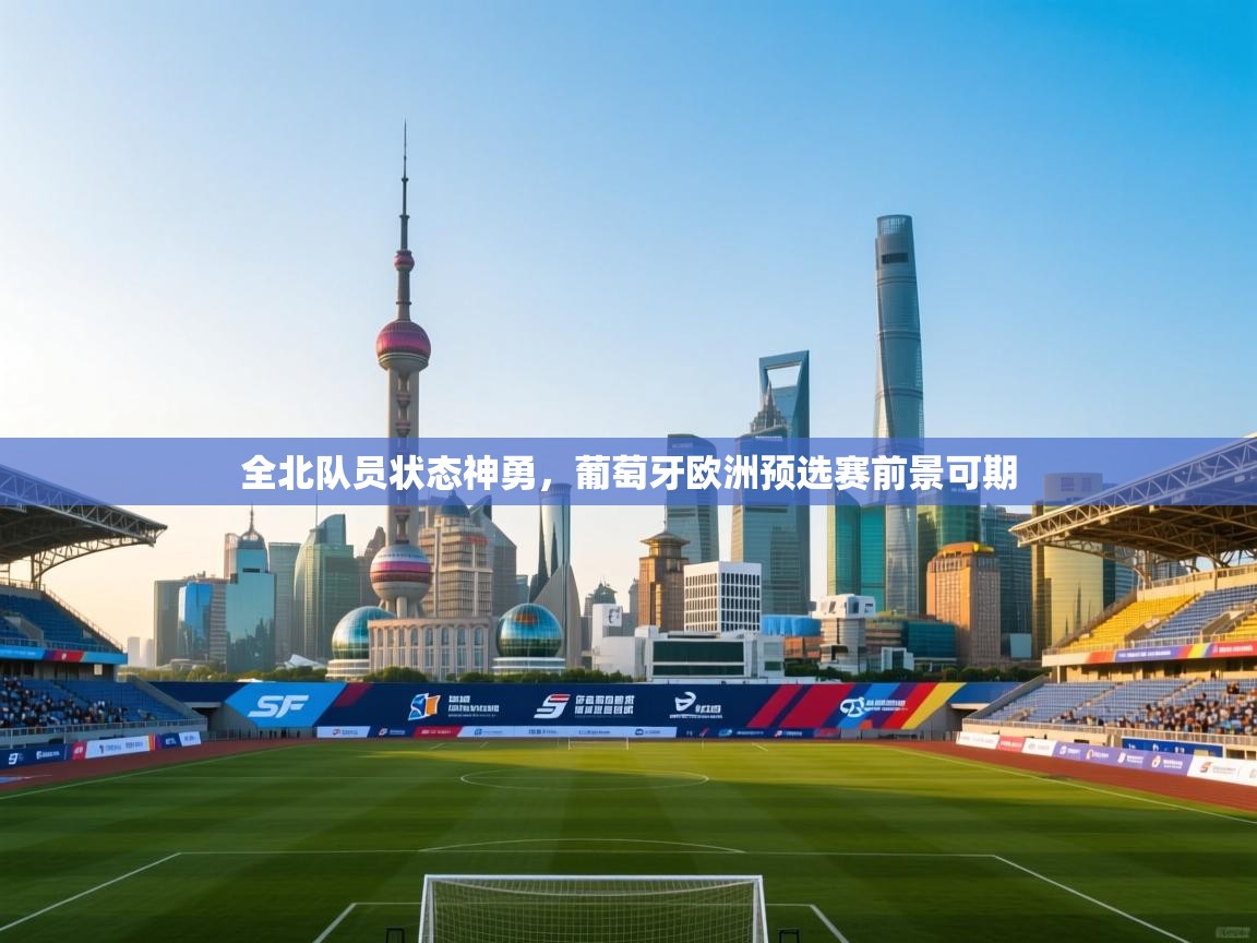 全北队员状态神勇,葡萄牙欧洲预选赛前景可期 第1张