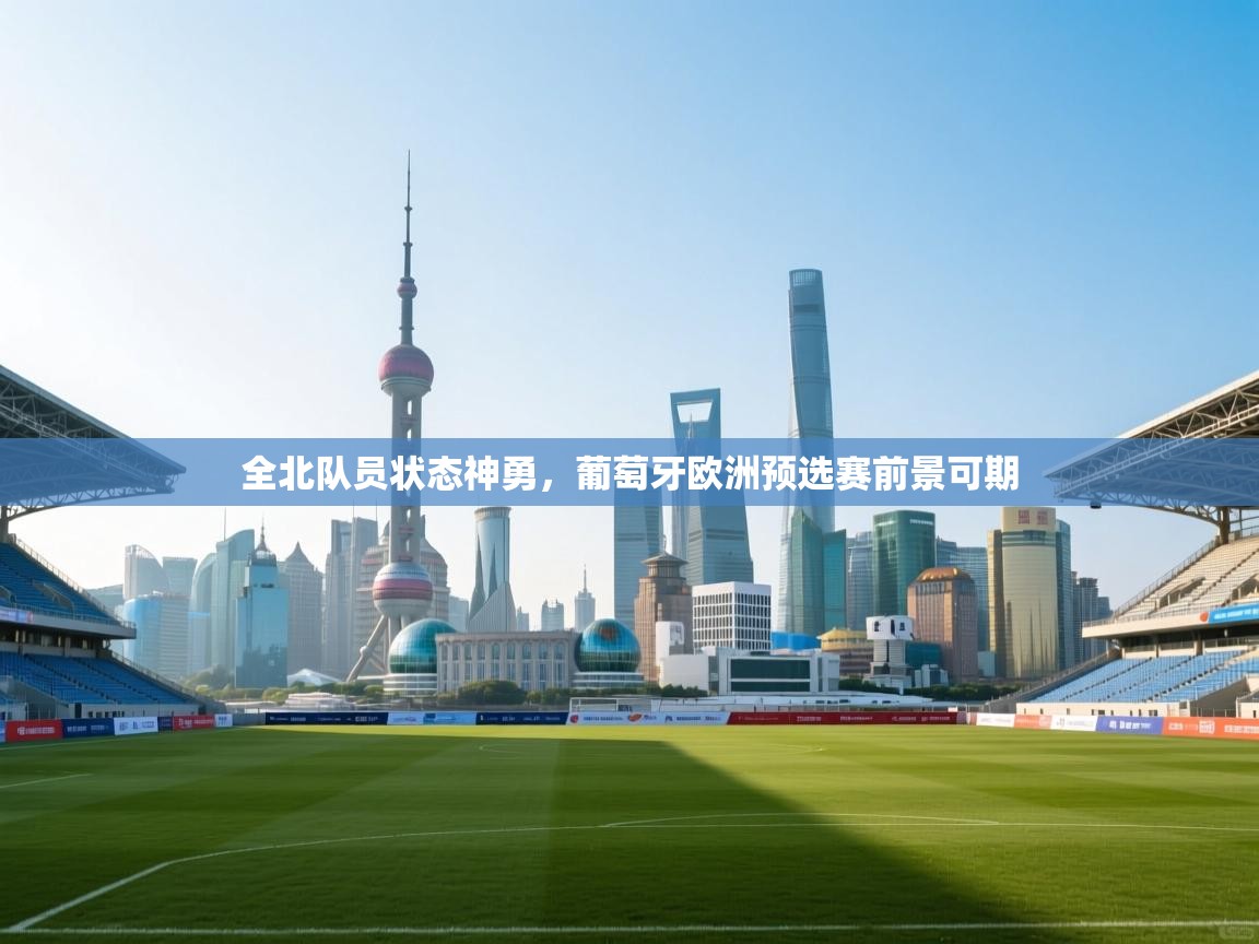 全北队员状态神勇,葡萄牙欧洲预选赛前景可期 第2张