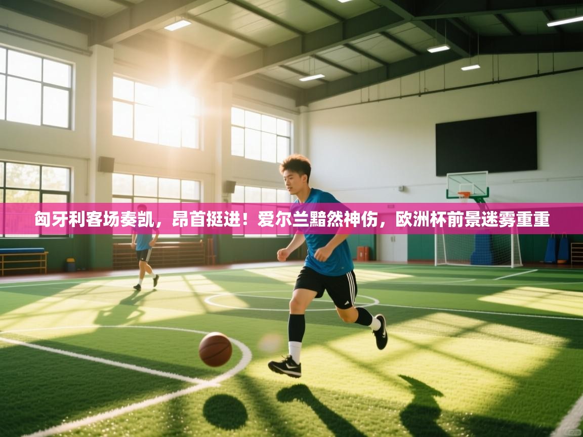 匈牙利客场奏凯,昂首挺进!爱尔兰黯然神伤,欧洲杯前景迷雾重重 第1张